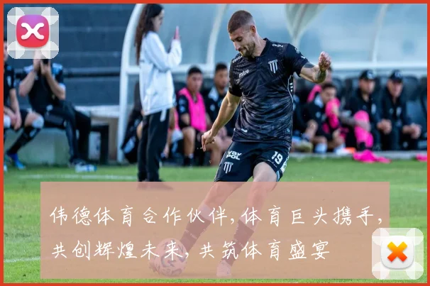 伟德体育合作伙伴,体育巨头携手,共创辉煌未来,共筑体育盛宴