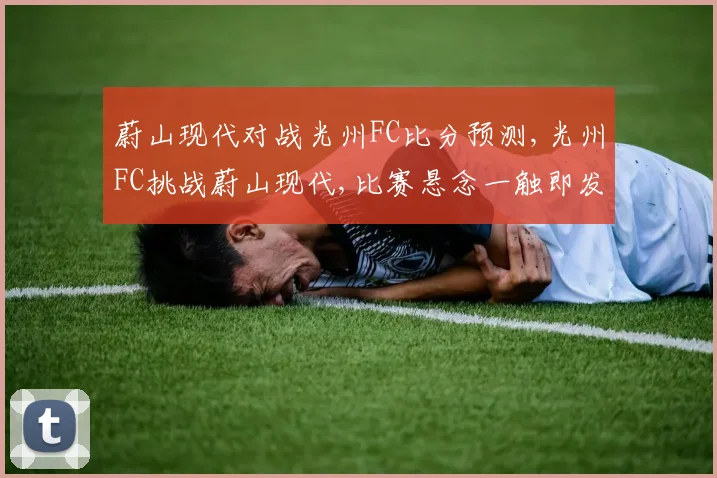 蔚山现代对战光州FC比分预测,光州FC挑战蔚山现代,比赛悬念一触即发,谁将夺冠